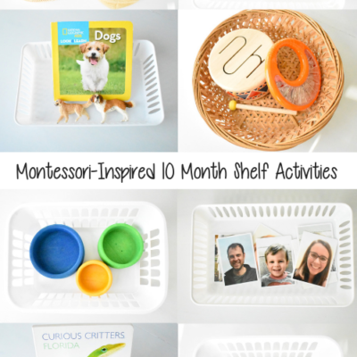 Montessori-Inspired Shelf Activities at 10 Months