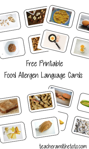 Montessori-Inspired Food Allergen Cards