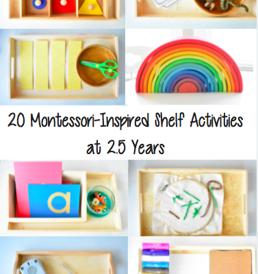 Montessori-Inspired Shelf Activities at 2.5 Years