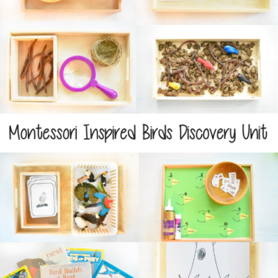 The Ultimate Montessori Inspired Birds Discovery