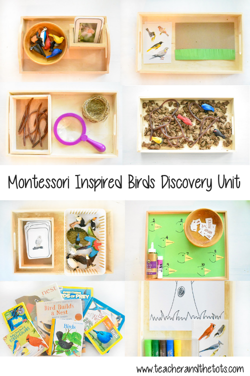 Montessori inspired birds discovery guide