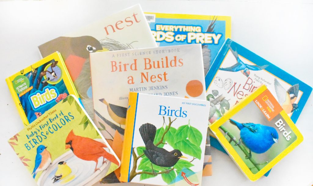 Montessori inspired bird books