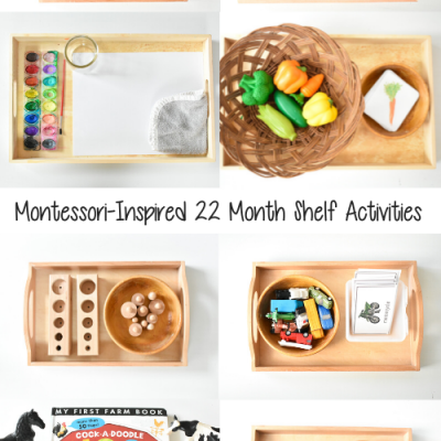 Montessori Inspired Shelf Activities at 22 Months