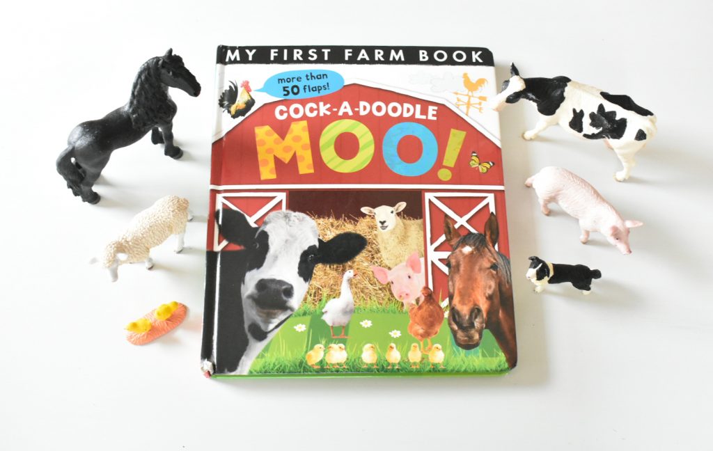 Montessori book and animals discovery basket
