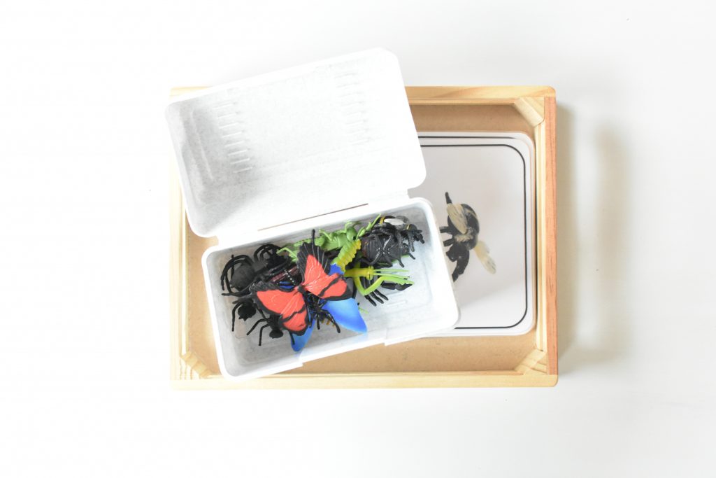 Montessori inspired matching with insects