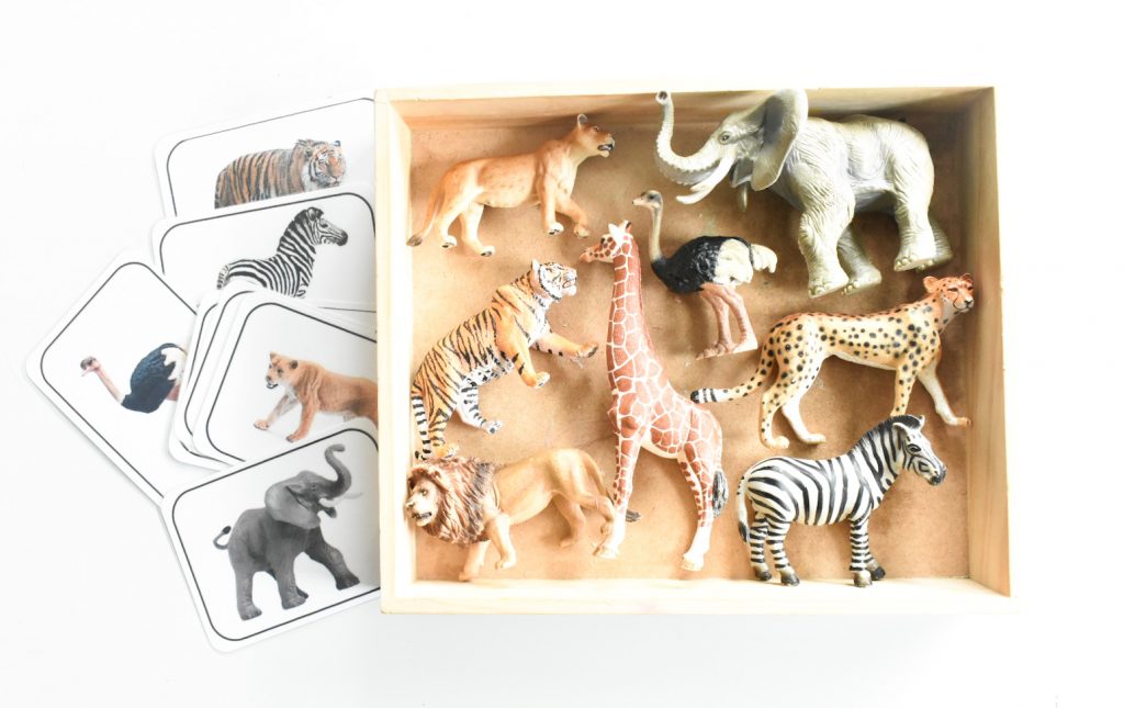 Montessori inspired African animal matching
